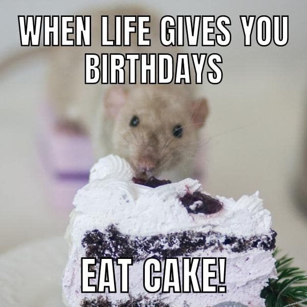 Los mejores memes de cumpleaños para sorprender a tu hijo 7 Happy birthday cake with funny memes
