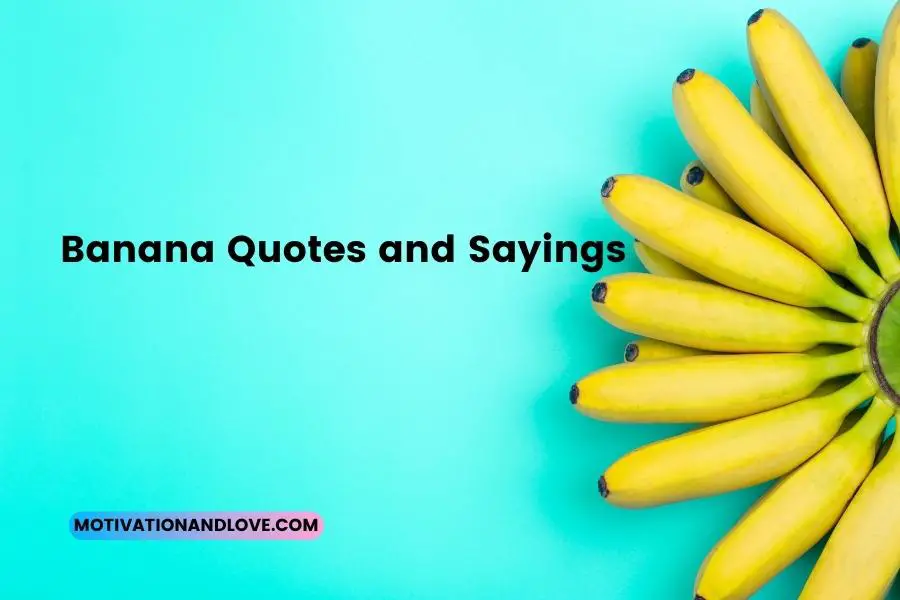 Banana! The fans' favorite catchphrase
