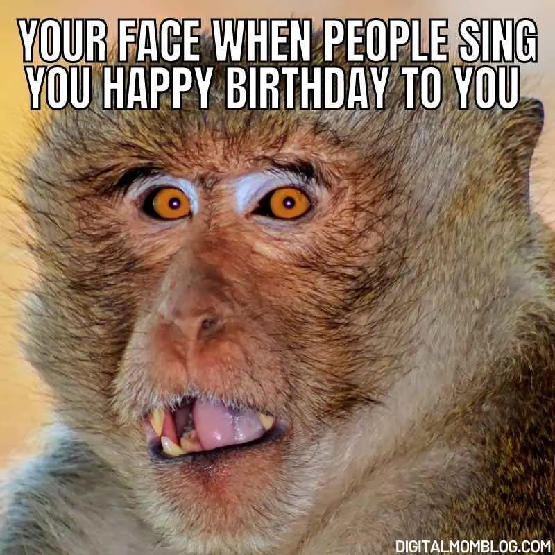 Los mejores memes de cumpleaños para sorprender a tu hijo 6 Hilarious birthday meme brings joy to your child